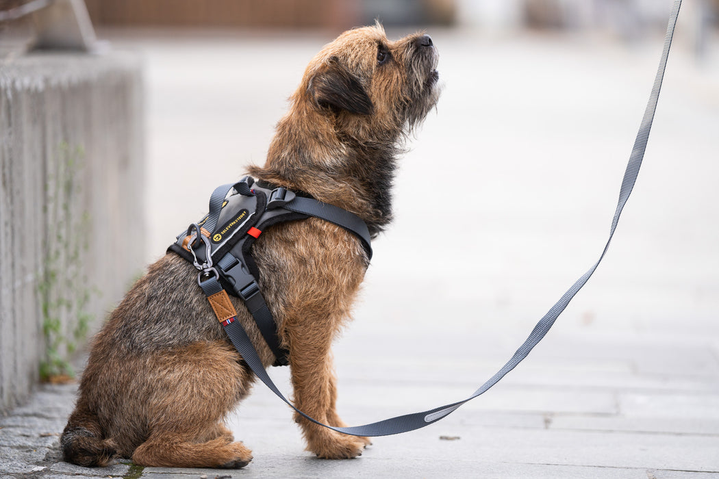 Seleverkstedet - comfort hundsele