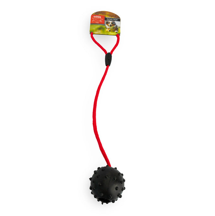 Active Canis - ball with rope black