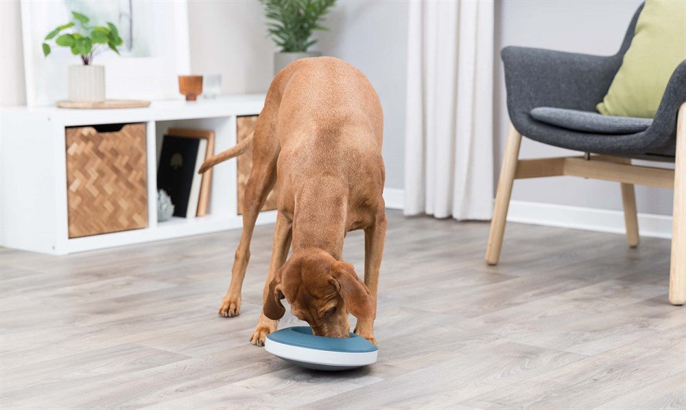 TRIXIE - slow feed rocking bowl plast 0.5l ø23cm grå/blå - skål för husdjur