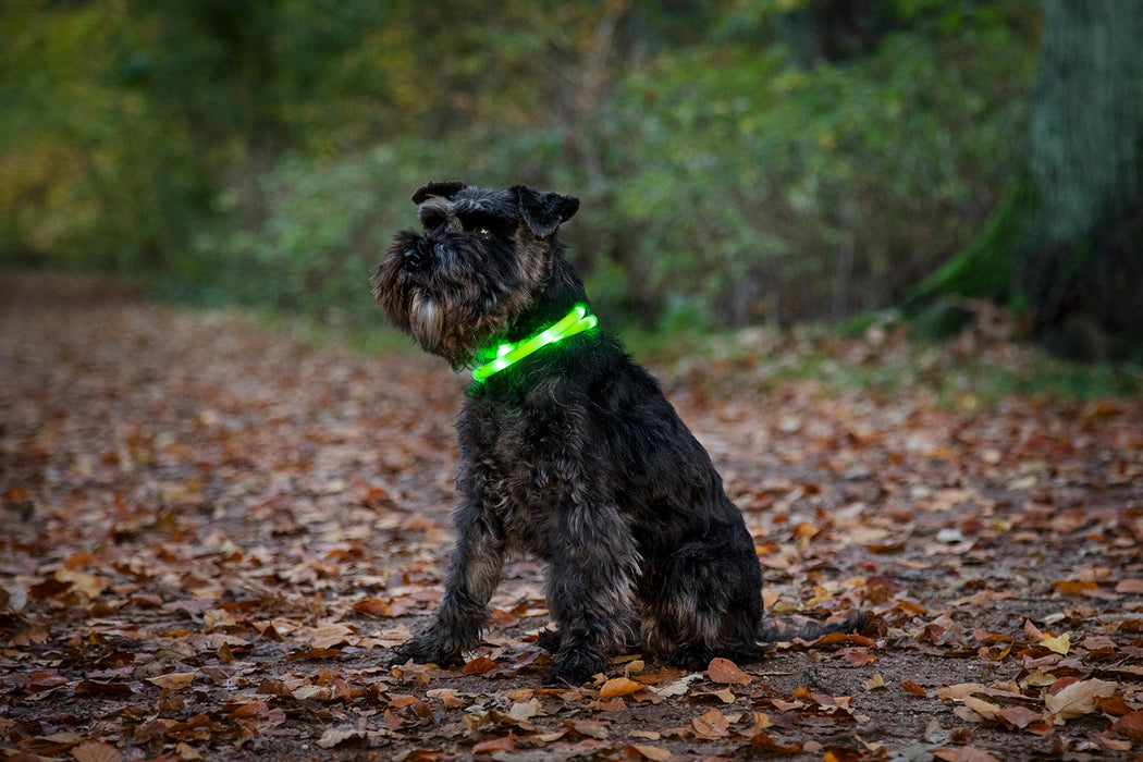 Dogman - blinkhalsband led grå