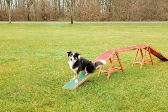 TRIXIE - agility ramp träningsutrustning 456x64x30cm