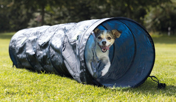 TRIXIE - agility tunnel träningsutrustning 40cm 200cm