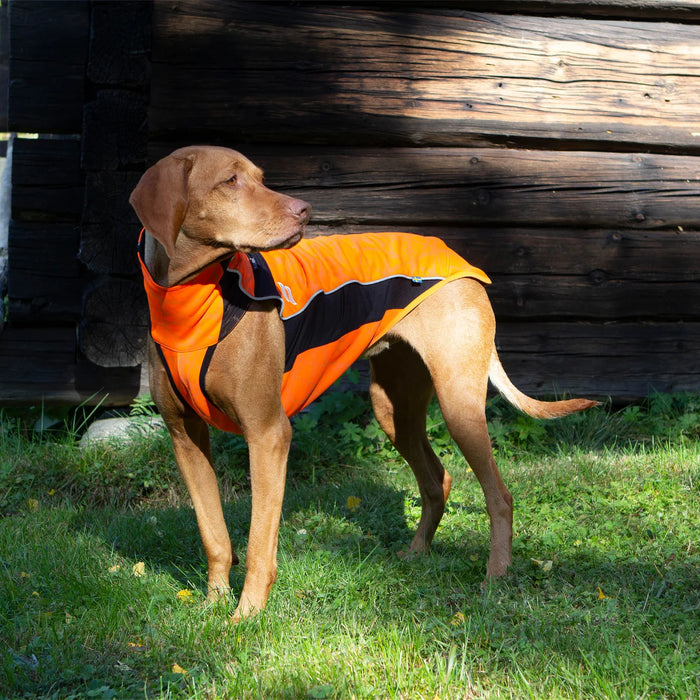 Back on Track - "eddie" hundtröja, orange