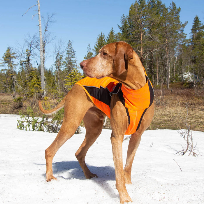 Back on Track - "eddie" hundtröja, orange