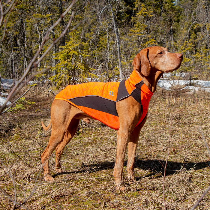 Back on Track - "eddie" hundtröja, orange