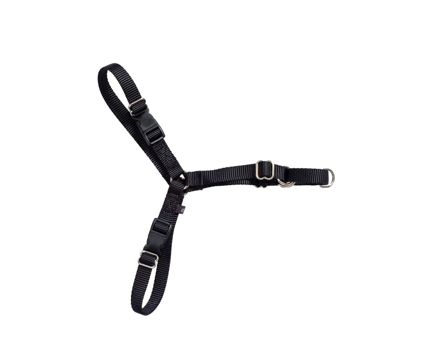 Active Canis - dog harness, small