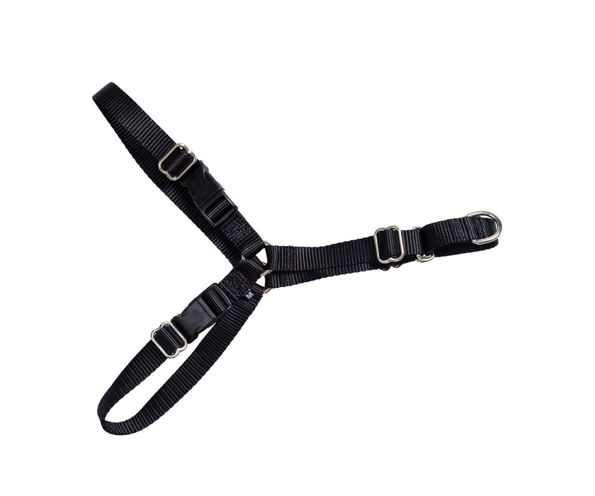 Active Canis - dog harness, medium