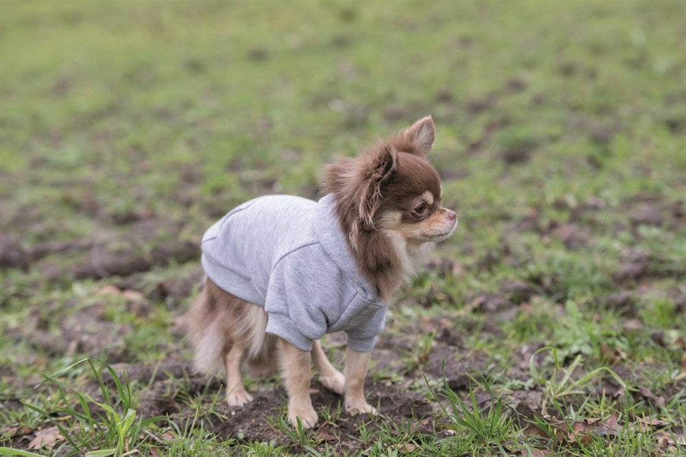 TRIXIE - rainbow falls hoodie ljusgrå xs 30cm - kläder för husdjur