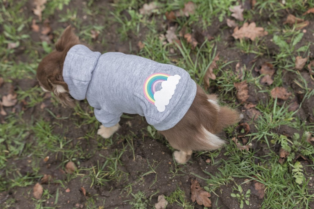 TRIXIE - rainbow falls hoodie ljusgrå xs 30cm - kläder för husdjur