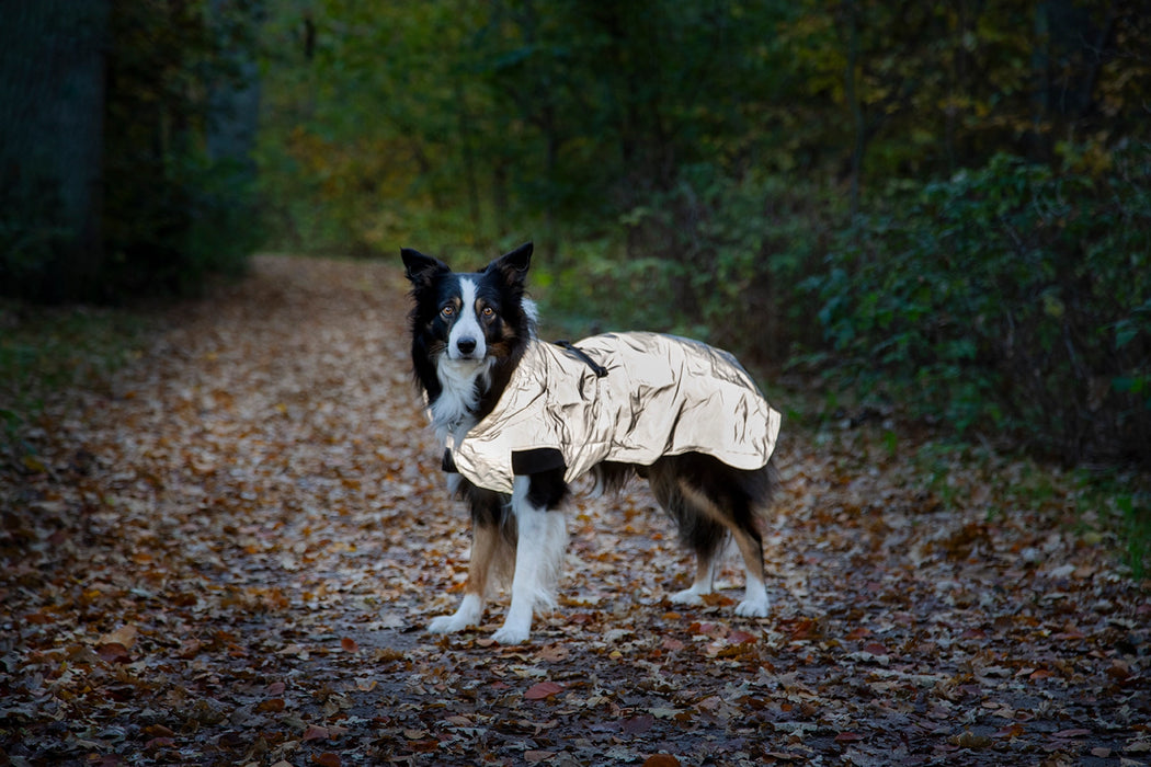 Dogman - ralf light reflextäcke