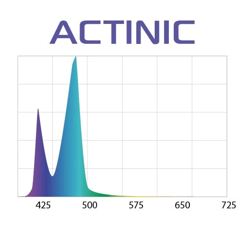 Aquael - lysrör led slim actinic vit