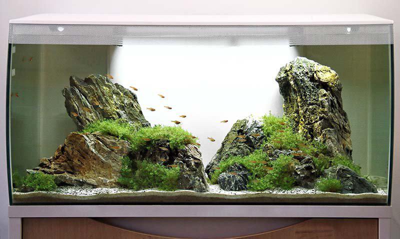 Fluval - flex led 123l vit 82x40x39 21w7500k 810l/h