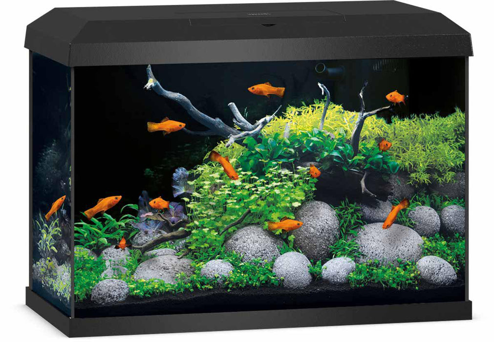 Juwel - akvarium primo 70 svart 2.0 61x31x44cm ca 70l