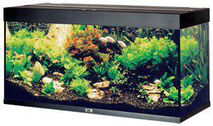 Juwel - akvarium led rio 350 svart 121x51x66cm 350l