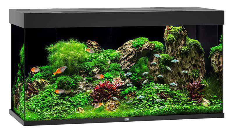 Juwel - akvarium led rio 350 svart 121x51x66cm 350l