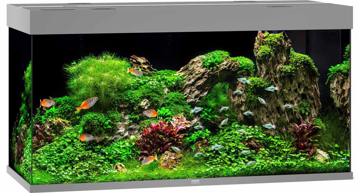 Juwel - akvarium led rio 350 grå 121x51x66cm 350l