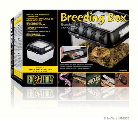 Exoterra - plast terrarie breeding box small 20.5x20.5x14cm