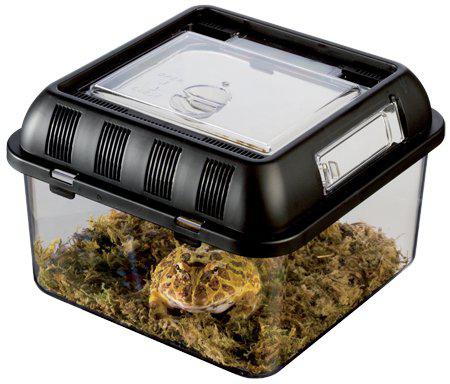 Exoterra - plast terrarie breeding box small 20.5x20.5x14cm