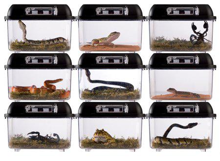 Exoterra - plast terrarie breeding box medium 30.2x19.6x14.7cm