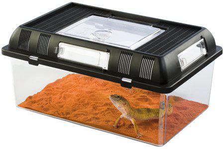 Exoterra - plast terrarie breeding box medium 30.2x19.6x14.7cm