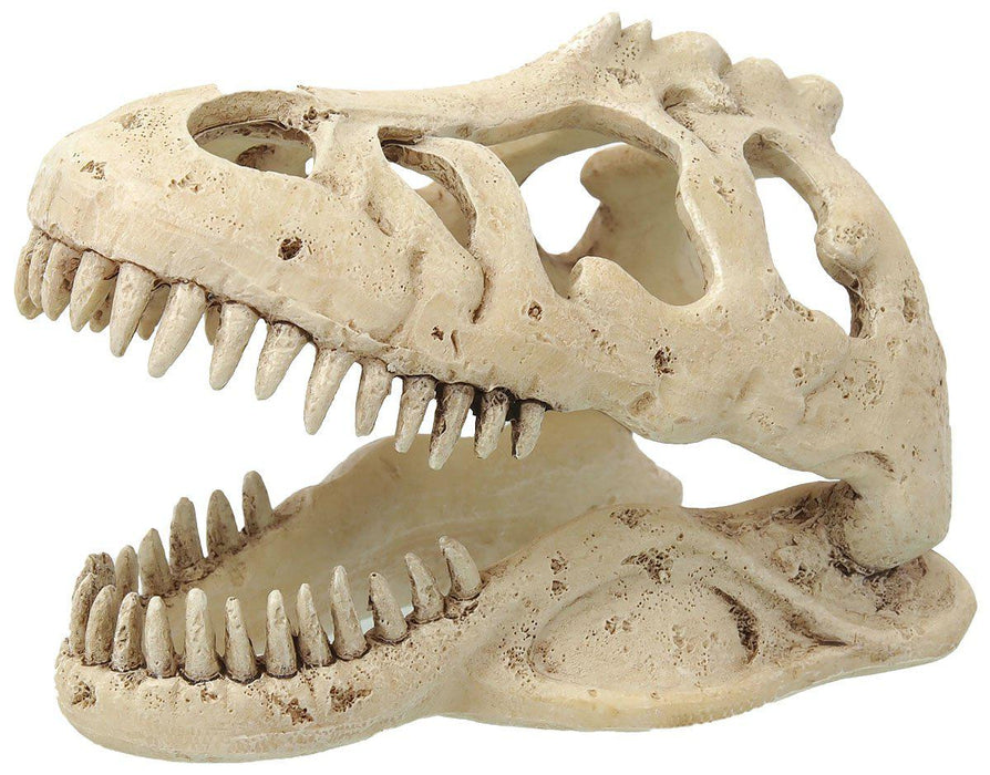 Reptiplanet - small t-rex skull 13,3x8,5x9cm