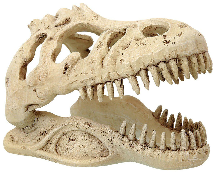 Reptiplanet - small t-rex skull 13,3x8,5x9cm