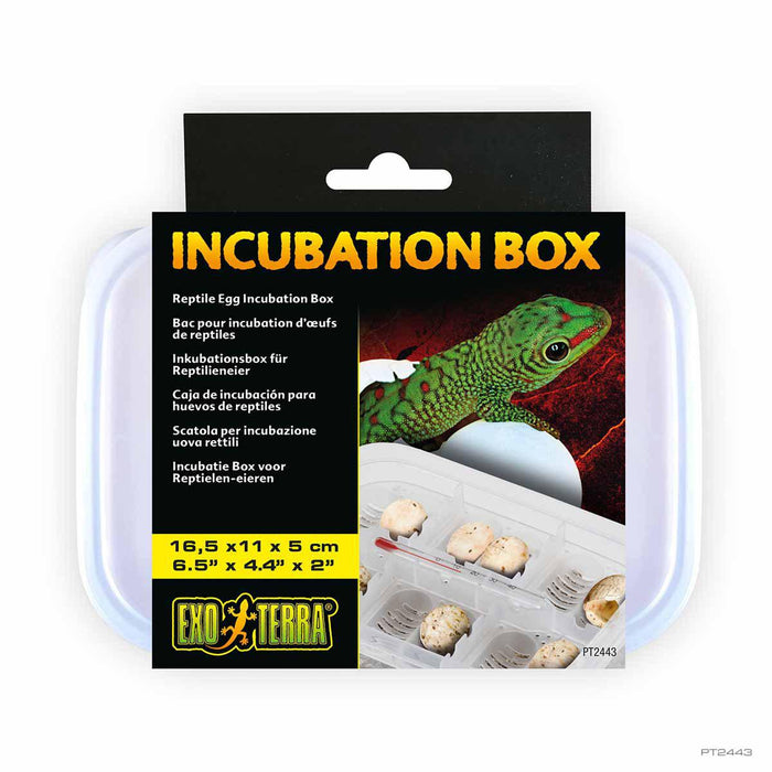 Exoterra - incubatioon box-reptile egg