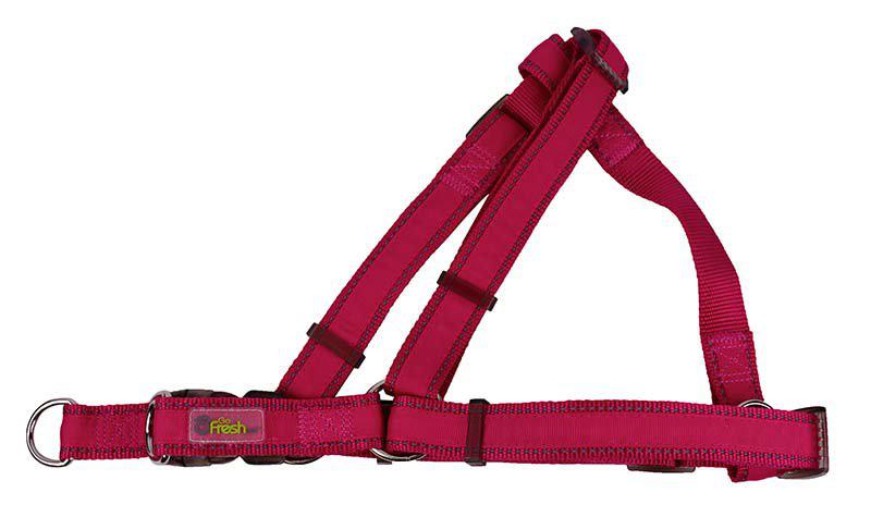 Go Fresh Pet - go fresh sele step-in fuschia s/m 16mmx46-66cm