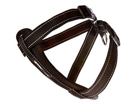 Ezydog - sele neoprensvart xs 3-6kg 'promenad/bilsele'