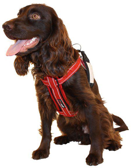 Ezydog - sele quickfit neopren röd xxs 2-3kg 'justerbar'