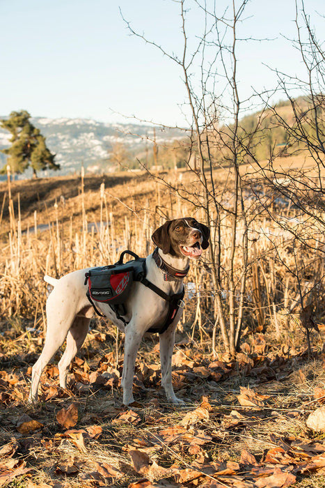 Ezydog - sele summit backpack m med reflex 70-110cm midja