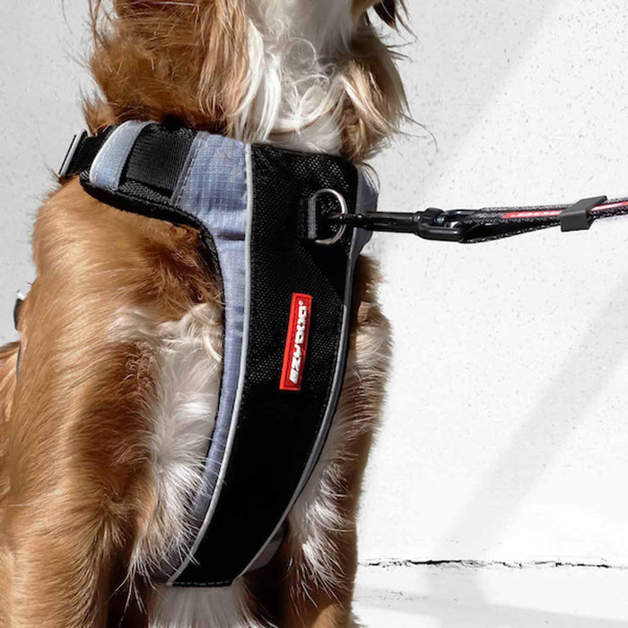 Ezydog - sele x-link svart xs 3-6kg 'justerbar'