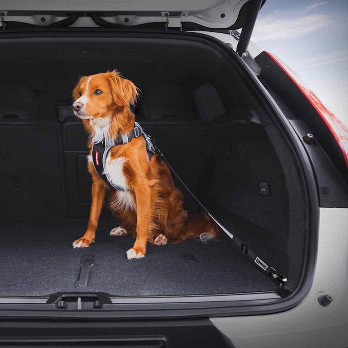 Ezydog - hundbälte isofix l