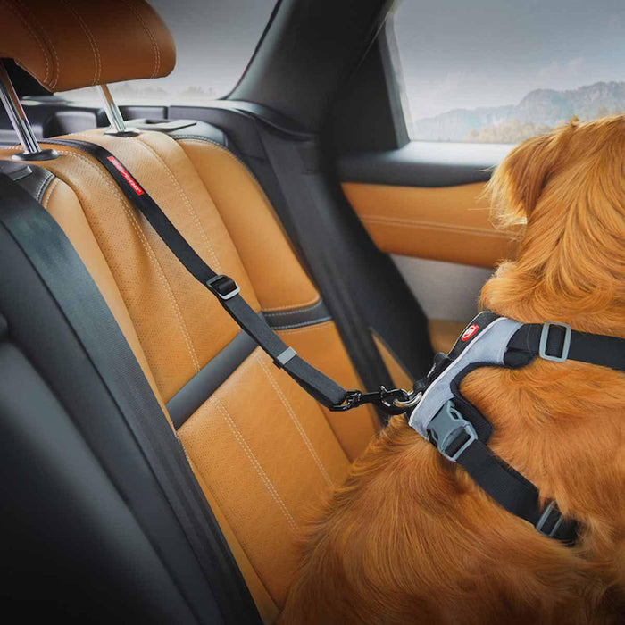 Ezydog - hundbälte isofix l