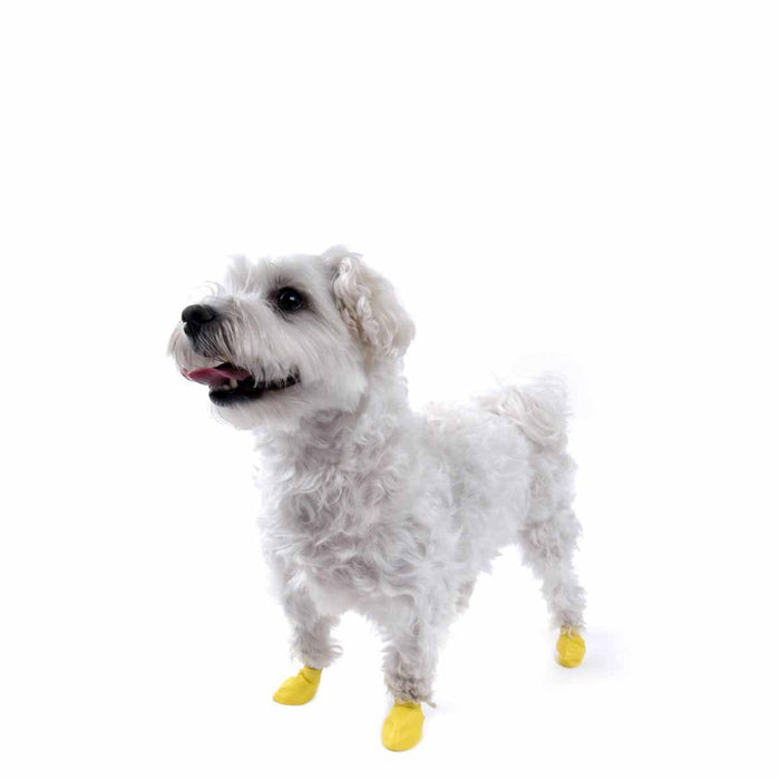 Pawz Dog Boots - color xxs yellow