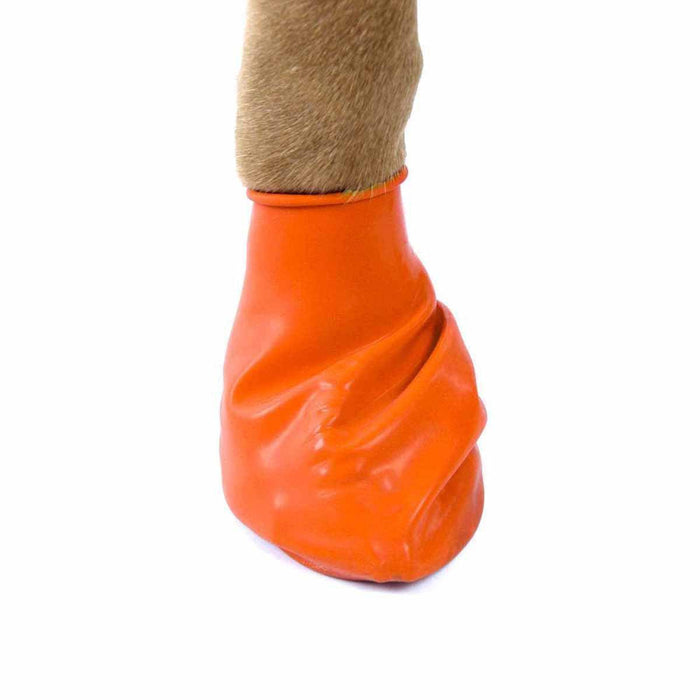 Pawz Dog Boots - color xs orange