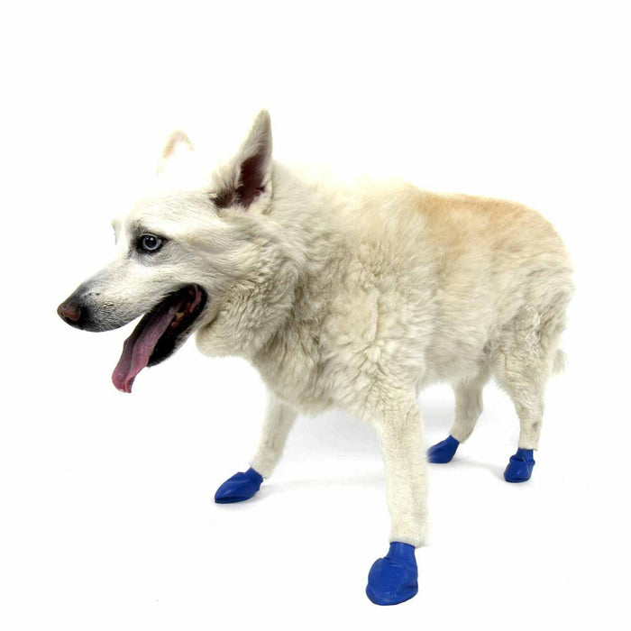 Pawz Dog Boots - color m blue