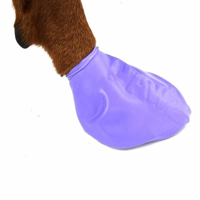 Pawz Dog Boots - color l purple