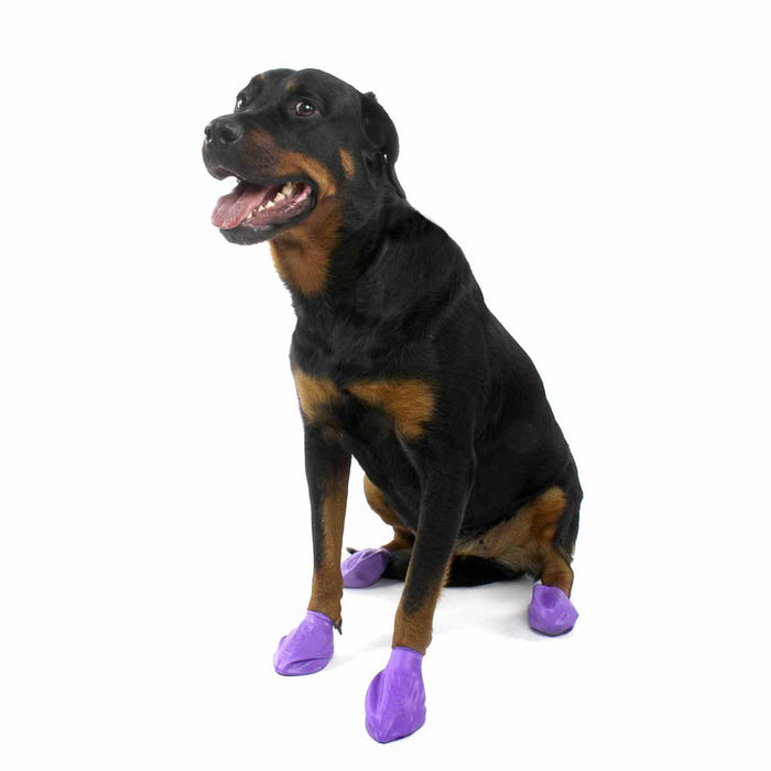 Pawz Dog Boots - color l purple