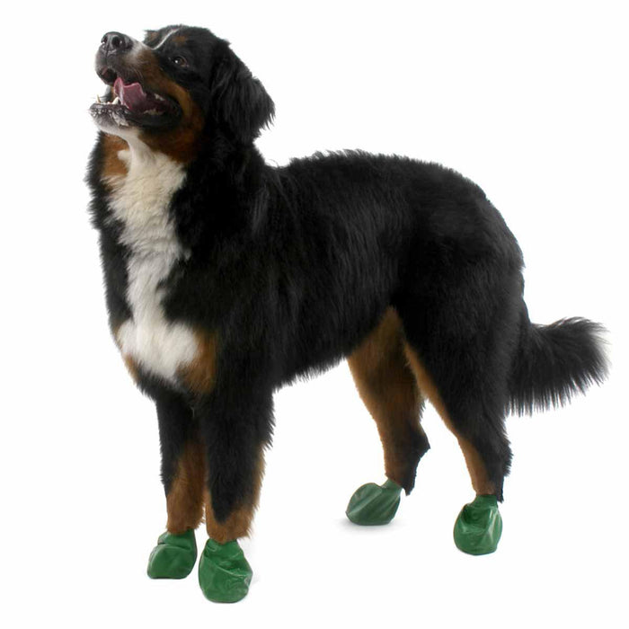 Pawz Dog Boots - color xl green