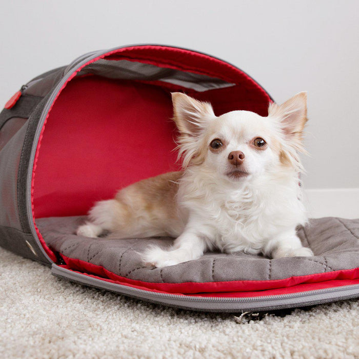 Kong - 2-in-1 pet carrier & travel mat 51x23x33cm