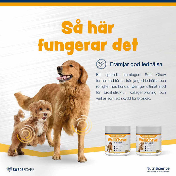 Swedencare - wellichews joint small dog/cat se/fi120 st