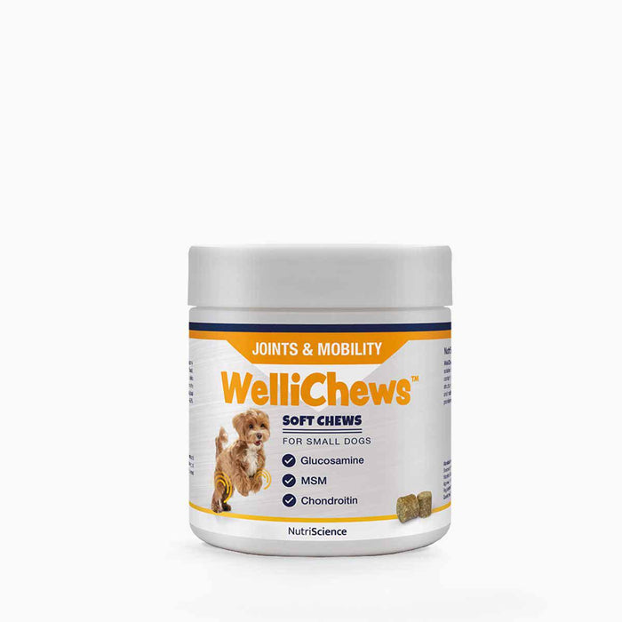 Swedencare - wellichews joint small dog/cat se/fi120 st