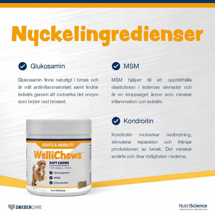 Swedencare - wellichews joint medium/large dog se/fi60 st