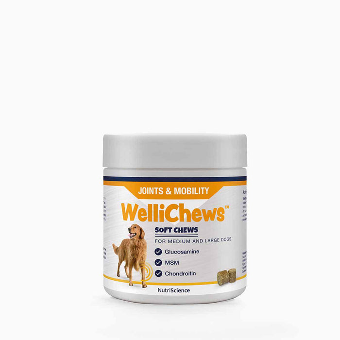 Swedencare - wellichews joint medium/large dog se/fi60 st