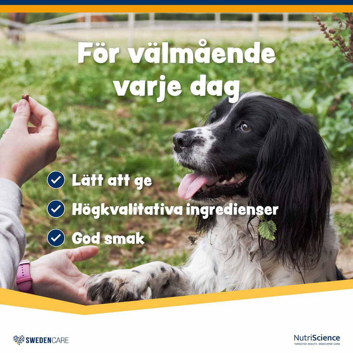 Swedencare - wellichews joint medium/large dog se/fi60 st