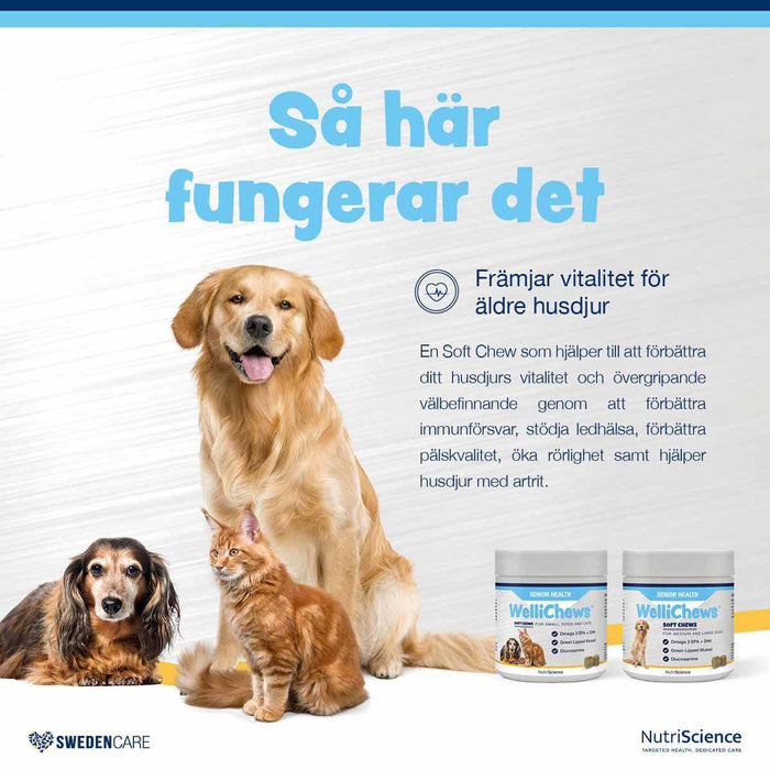 Swedencare - wellichews senior medium/large se/fi60 st