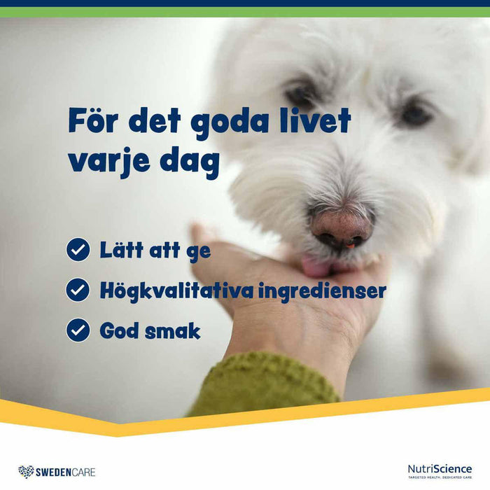 Swedencare - wellichews digestion small dog/cat se/fi120 st