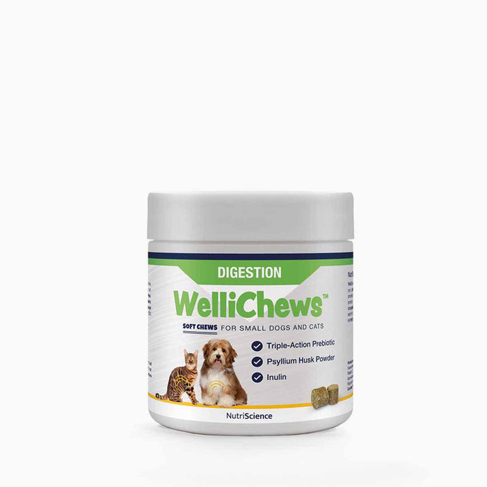 Swedencare - wellichews digestion small dog/cat se/fi120 st