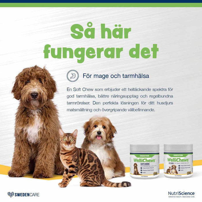 Swedencare - wellichews digestion small dog/cat se/fi120 st